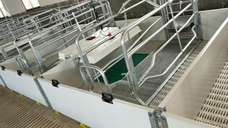 歐式母豬產床有哪些使用優勢?