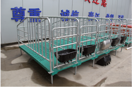 為什么要使用母豬定位欄?