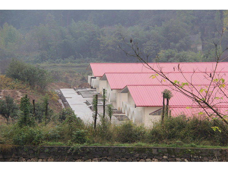 養殖新規出臺,農民養豬面臨4大利好