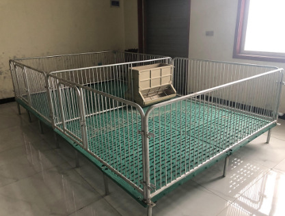 養(yǎng)豬人要發(fā)揮母豬定位欄的優(yōu)勢，避免其不足！