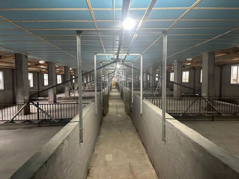 液態(tài)發(fā)酵飼喂的優(yōu)點主要體現在以下幾個方面